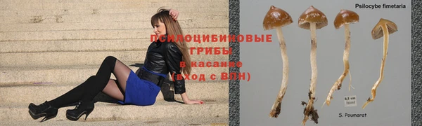 гашик Горнозаводск
