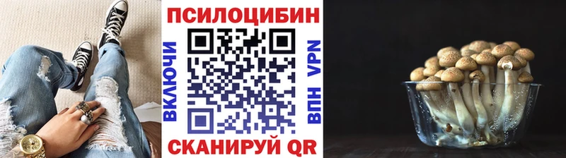 mega онион  наркошоп  Тихорецк  Псилоцибиновые грибы мухоморы 